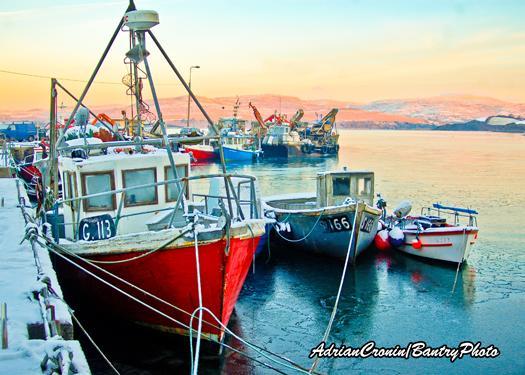 Doireliath Bed & Breakfast Bantry Bagian luar foto