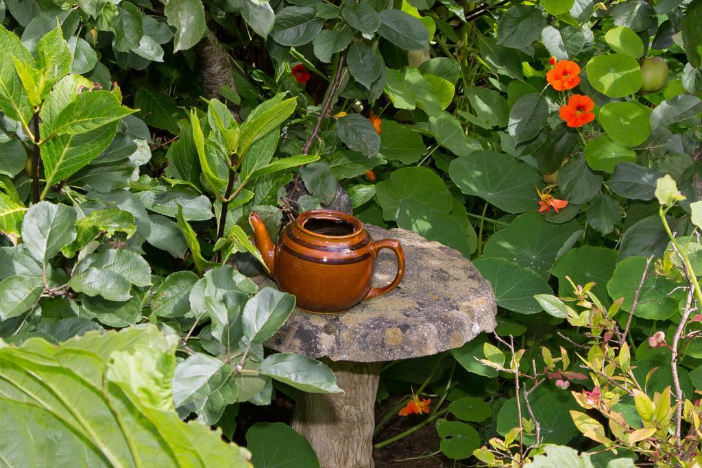 Doireliath Bed & Breakfast Bantry Bagian luar foto