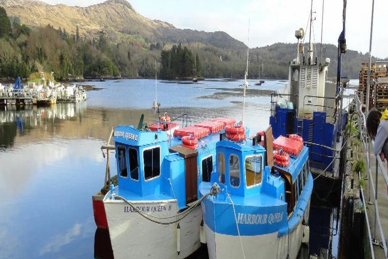 Doireliath Bed & Breakfast Bantry Bagian luar foto